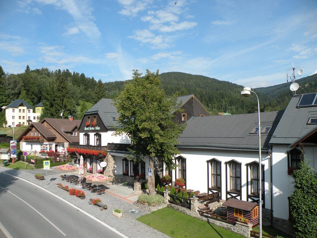 Hotel Lesni Dum